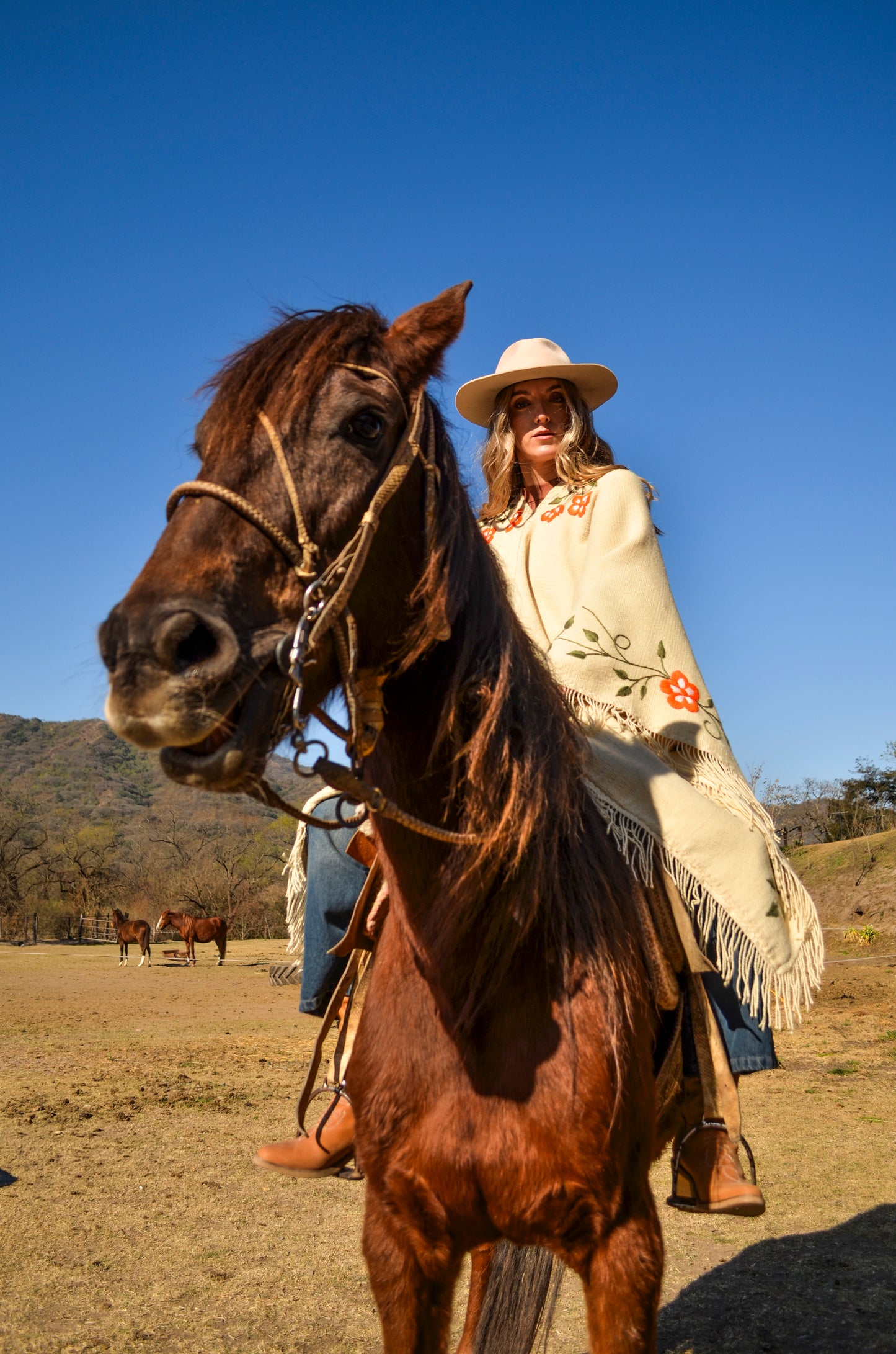 Poncho Bordado "Tandil" Telar Criollo